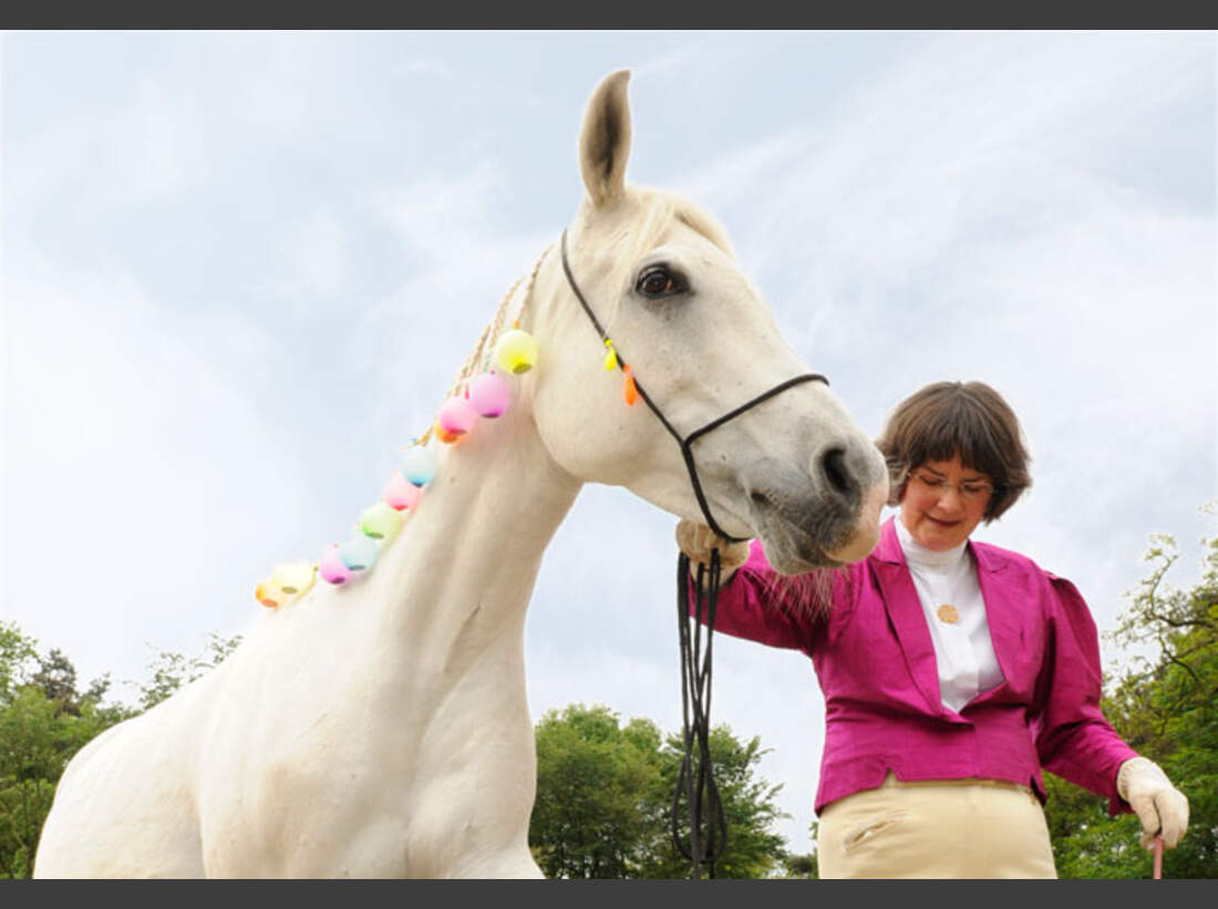 Trau Dich Reiten Mit Halsring Cavallo de